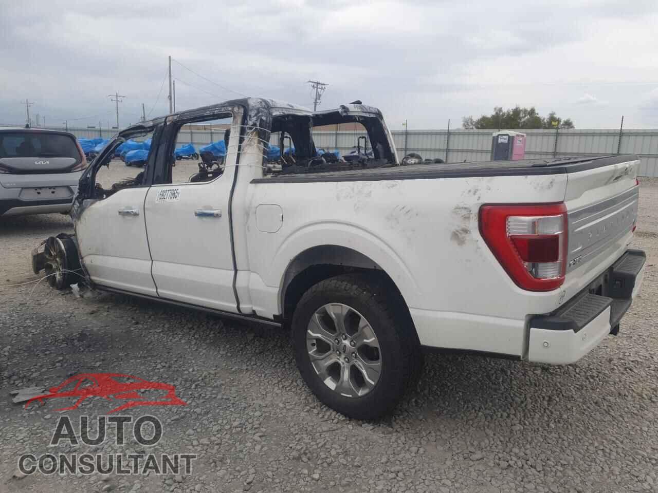 FORD F-150 2023 - 1FTFW1E8XPFA00902