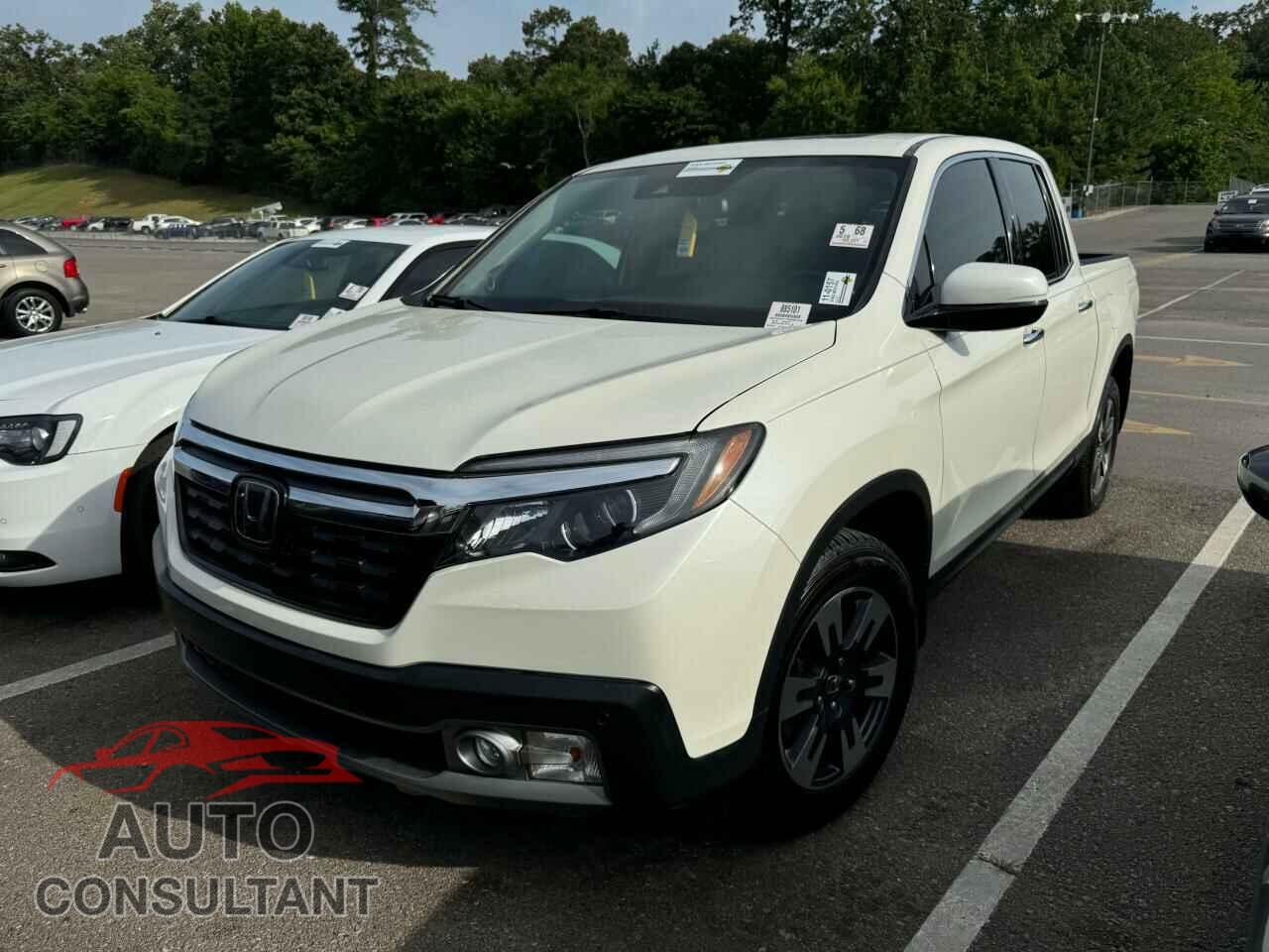 HONDA RIDGELINE 2019 - 5FPYK3F77KB007249