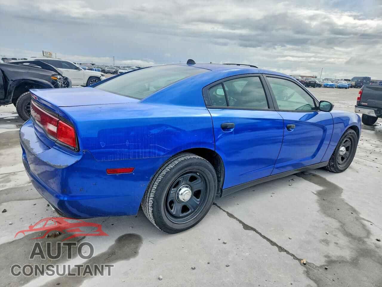 DODGE CHARGER 2013 - 2C3CDXAT0DH642288