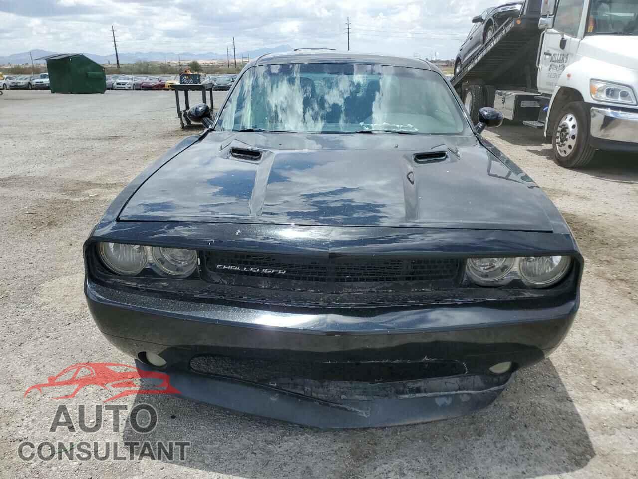 DODGE CHALLENGER 2013 - 2C3CDYAG2DH723852