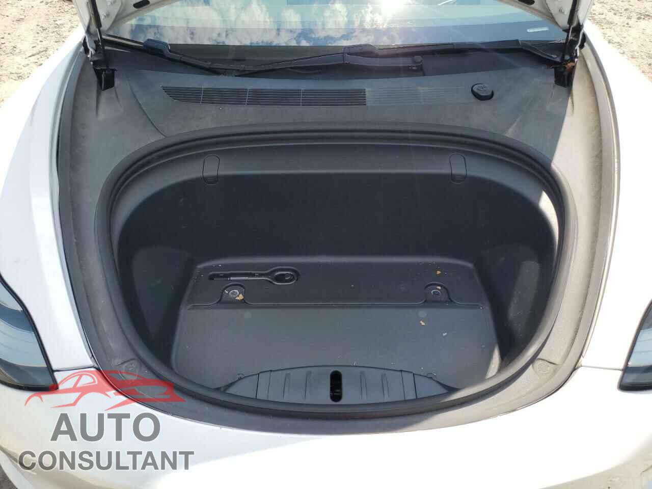 TESLA MODEL 3 2019 - 5YJ3E1EB0KF487588