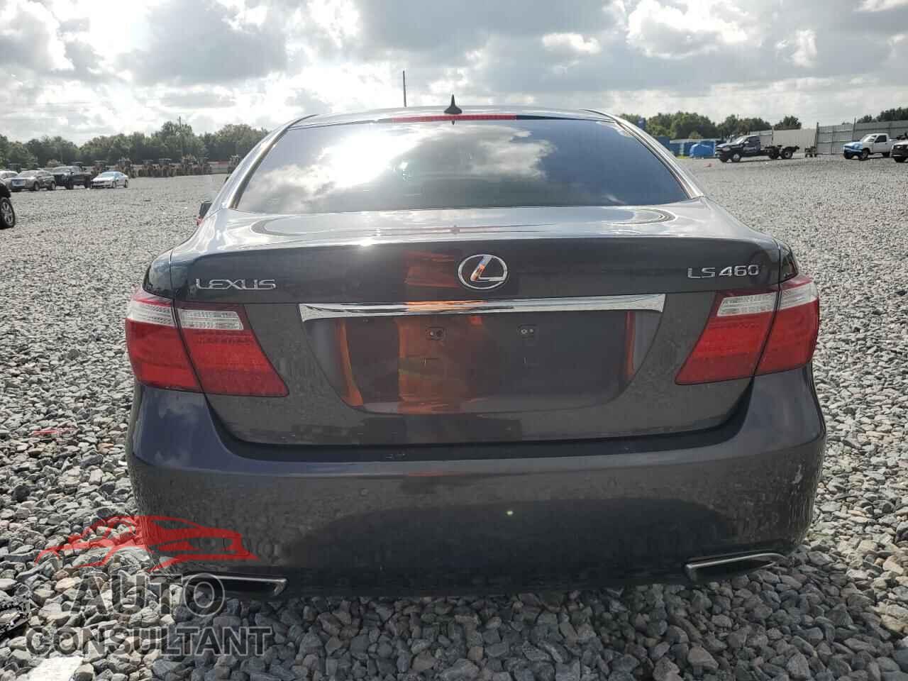 LEXUS LS460 2009 - JTHBL46F595087976