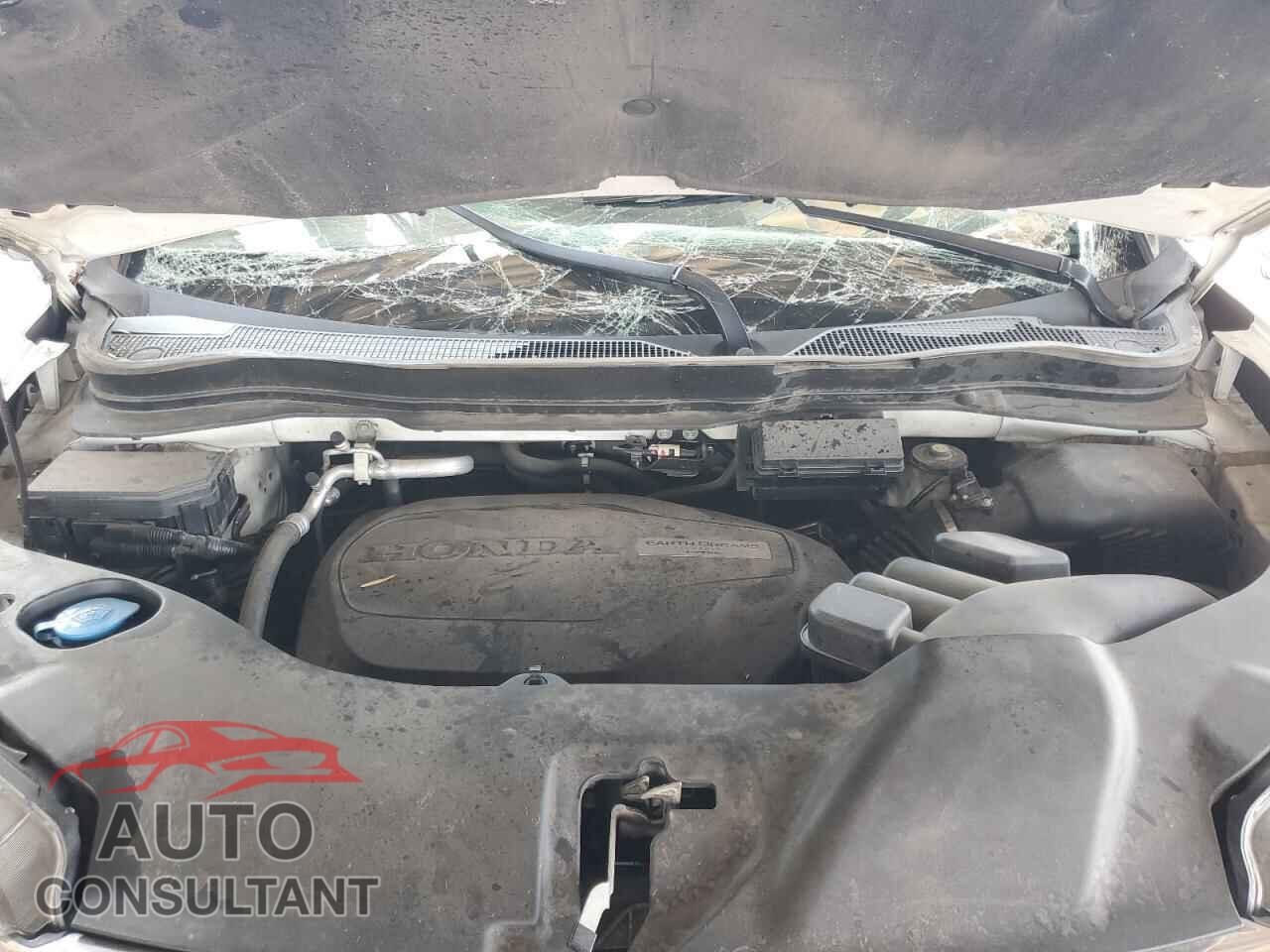 HONDA PILOT 2017 - 5FNYF5H33HB001847