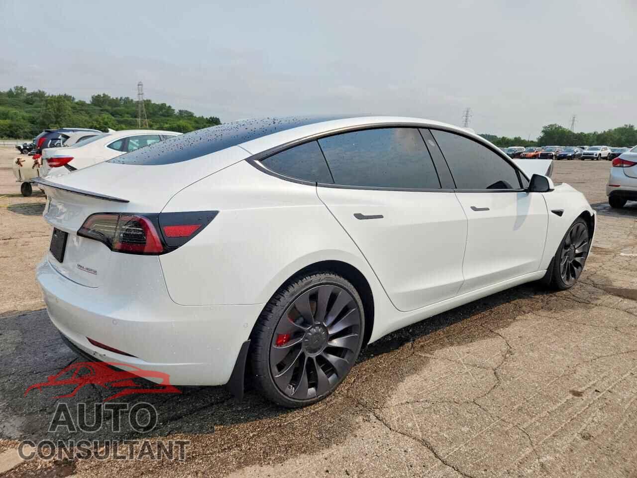 TESLA MODEL 3 2021 - 5YJ3E1EC4MF030195
