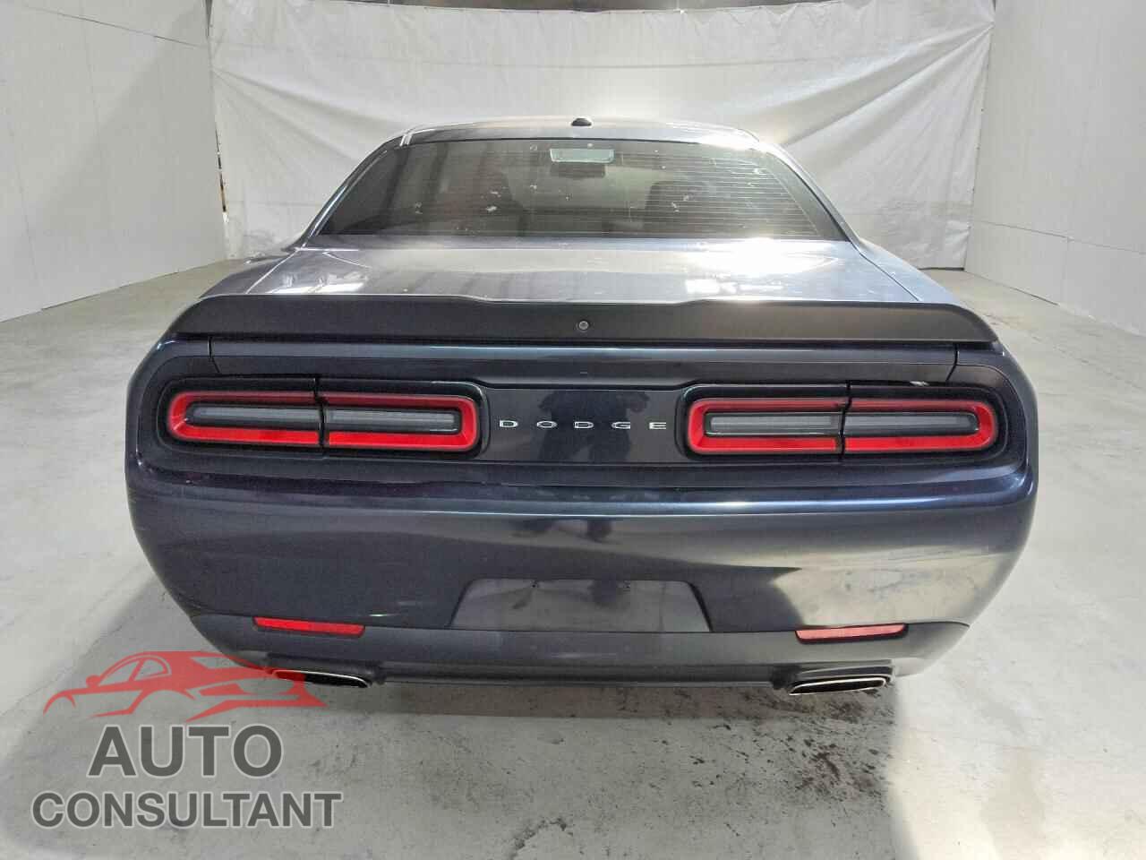 DODGE CHALLENGER 2019 - 2C3CDZAG0KH566681
