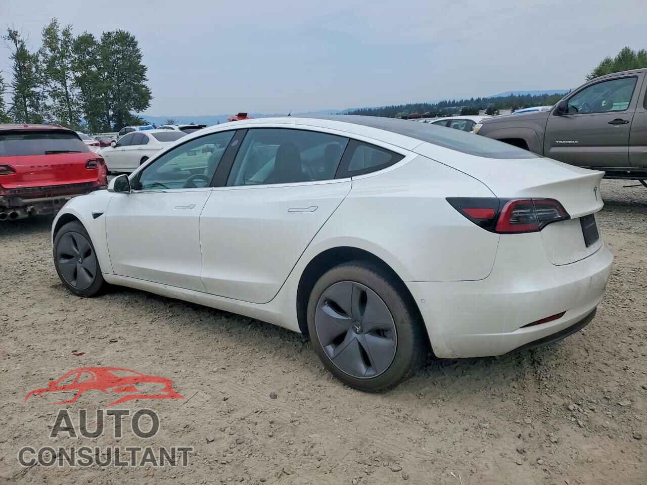 TESLA MODEL 3 2019 - 5YJ3E1EA3KF314042