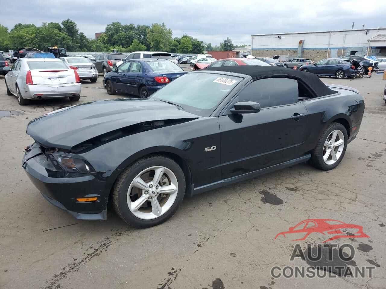 FORD MUSTANG 2012 - 1ZVBP8FF8C5268460