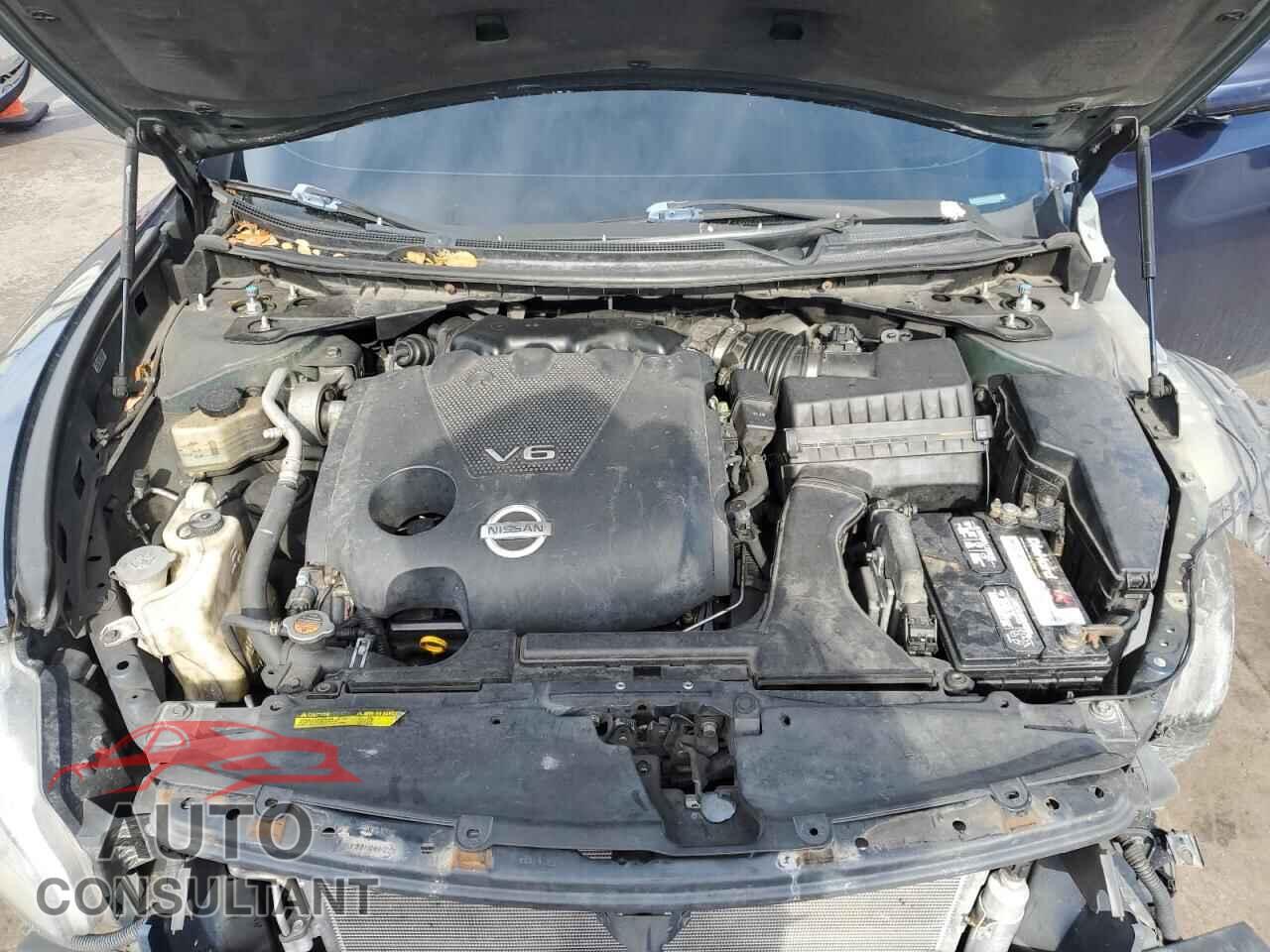 NISSAN MAXIMA 2009 - 1N4AA51E99C826257
