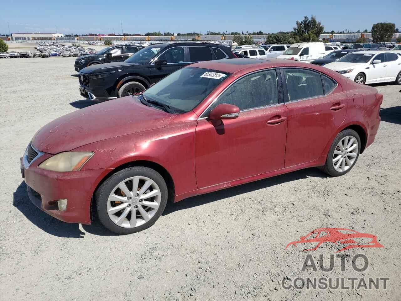 LEXUS IS 2009 - JTHCK262592029988