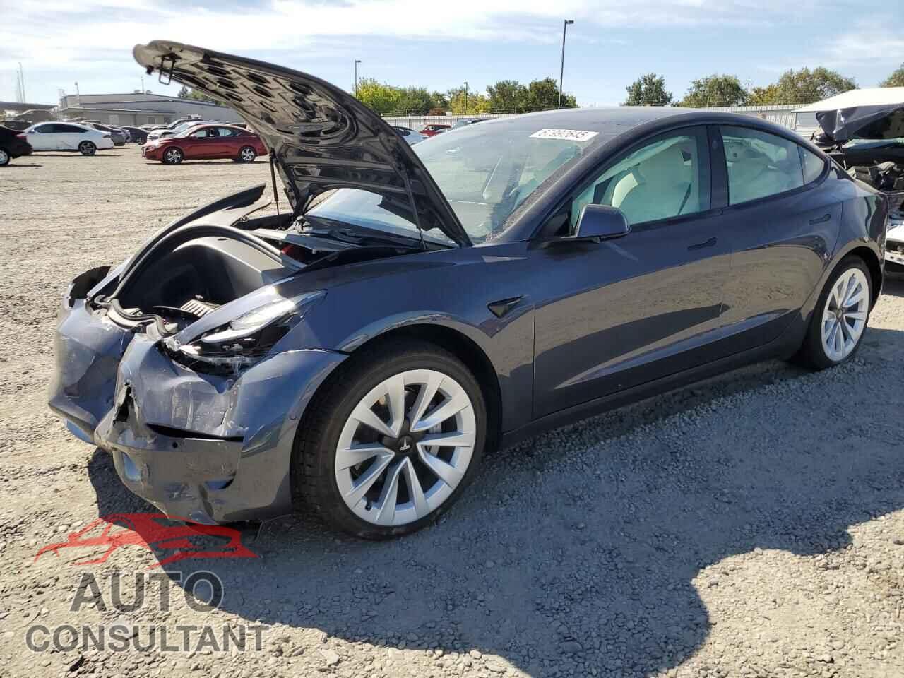 TESLA MODEL 3 2021 - 5YJ3E1EA4MF908741