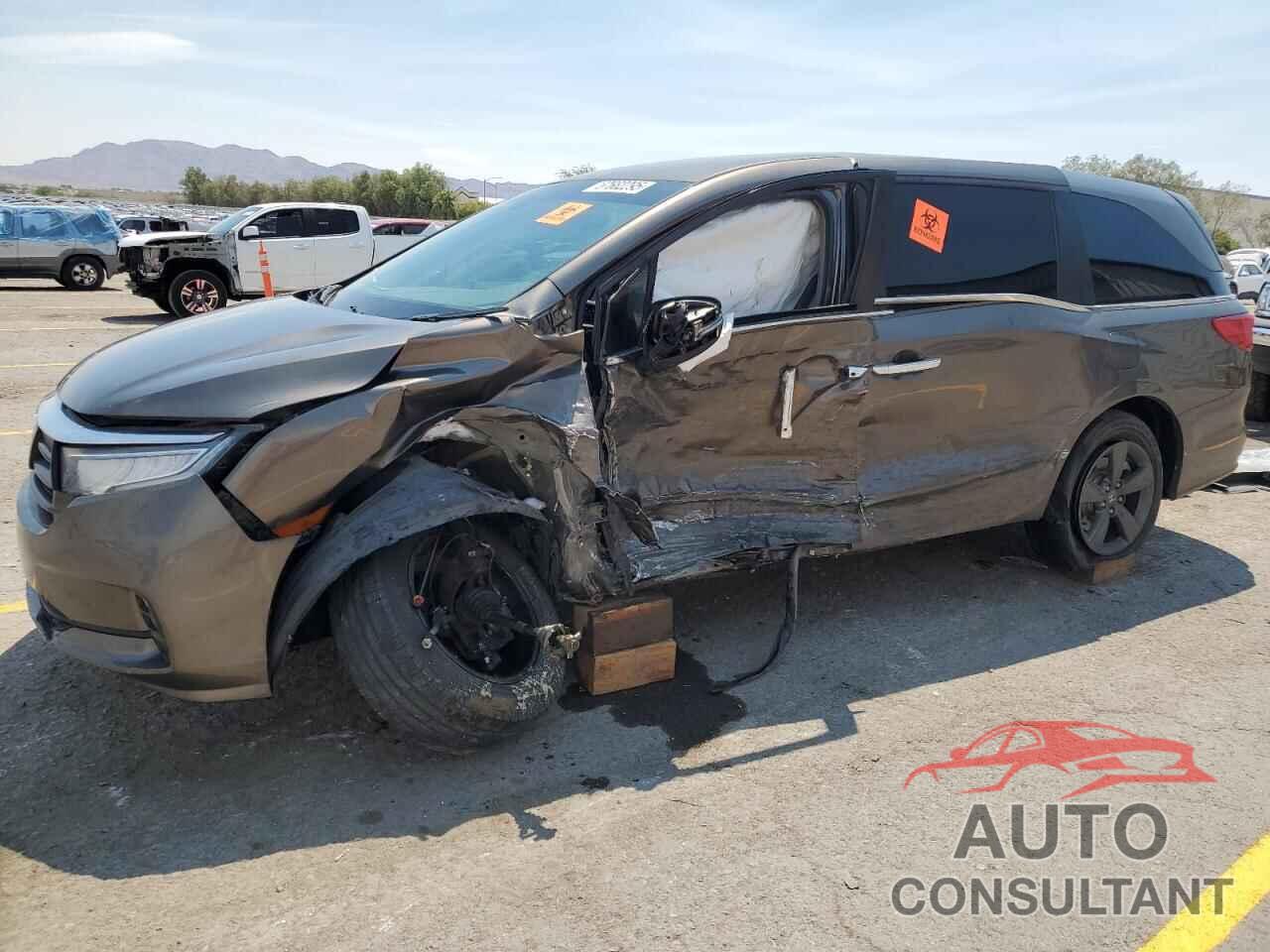 HONDA All Models 2021 - 5FNRL6H59MB021728