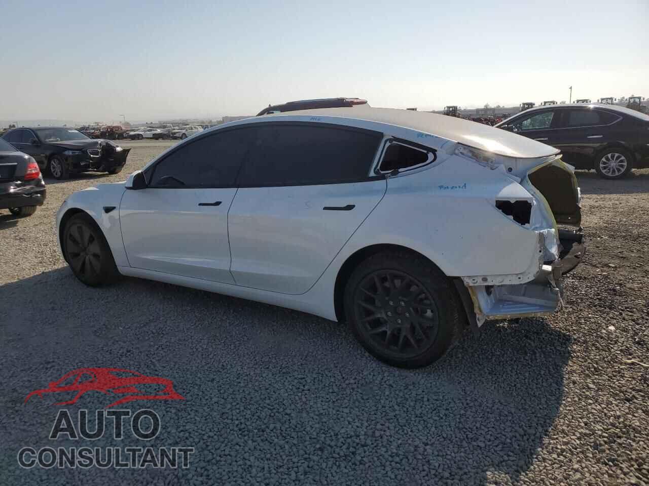 TESLA MODEL 3 2024 - 5YJ3E1EB9RF763034
