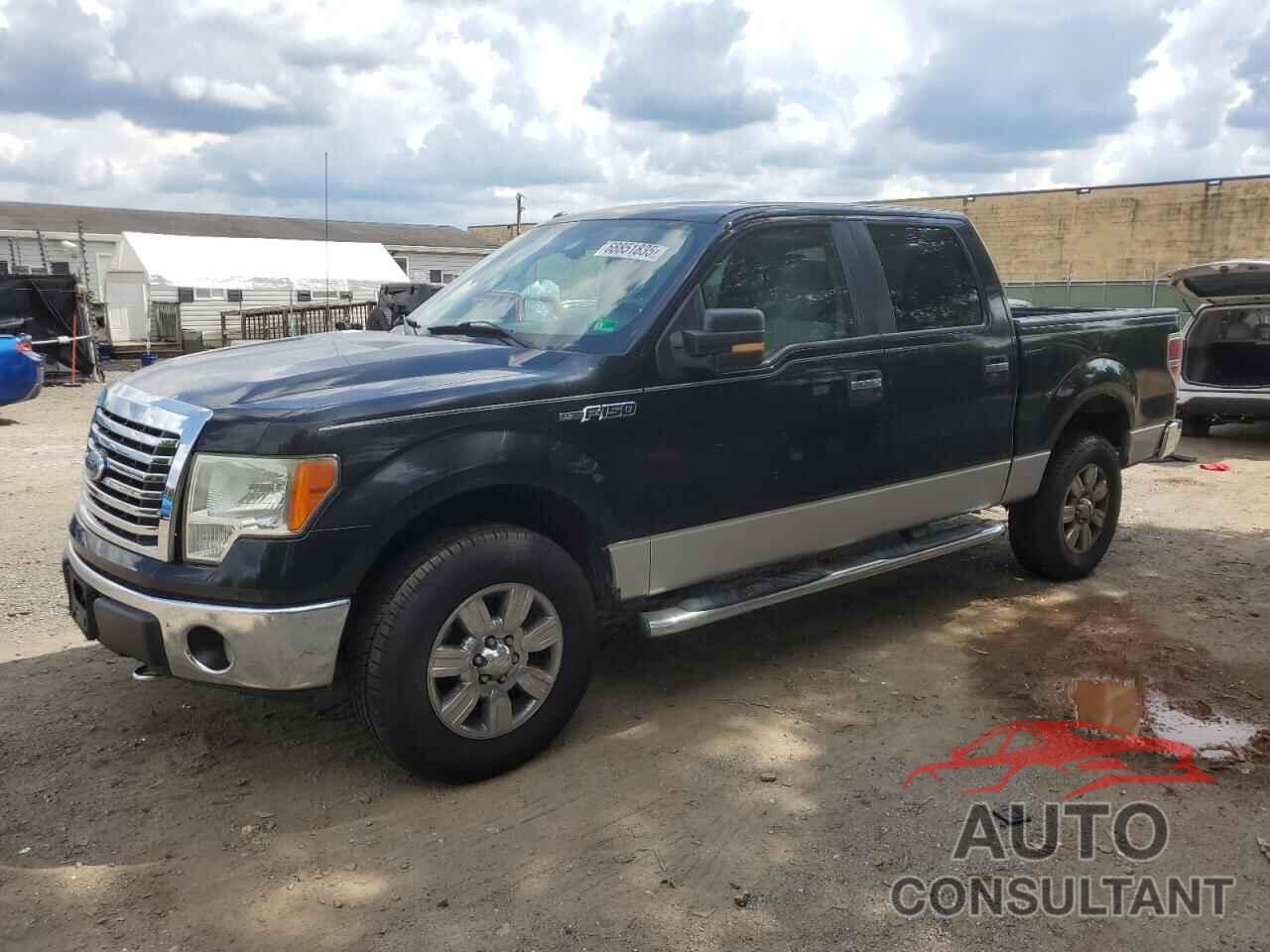 FORD F-150 2010 - 1FTEW1E8XAFD48430