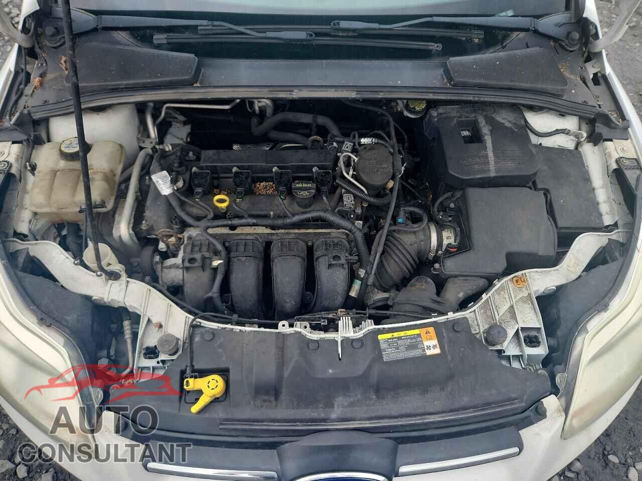 FORD FOCUS 2012 - 1FAHP3F29CL132806