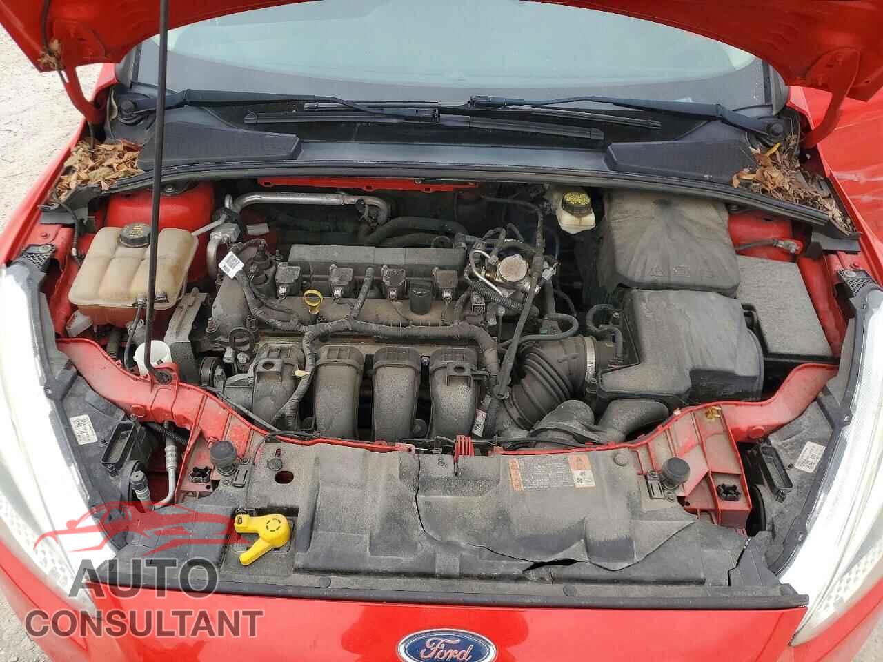 FORD FOCUS 2017 - 1FADP3F29HL248237