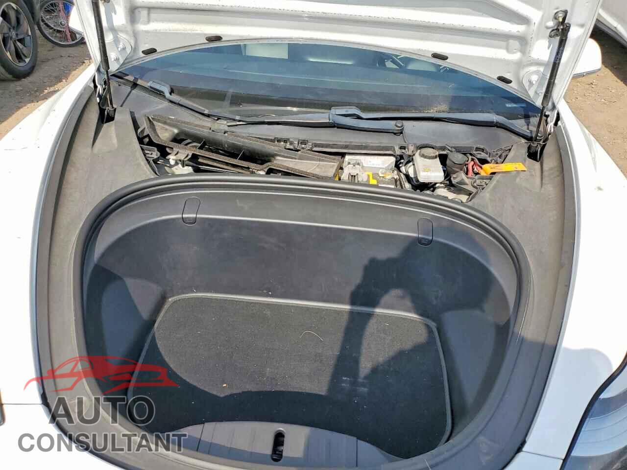 TESLA MODEL 3 2019 - 5YJ3E1EB0KF194340