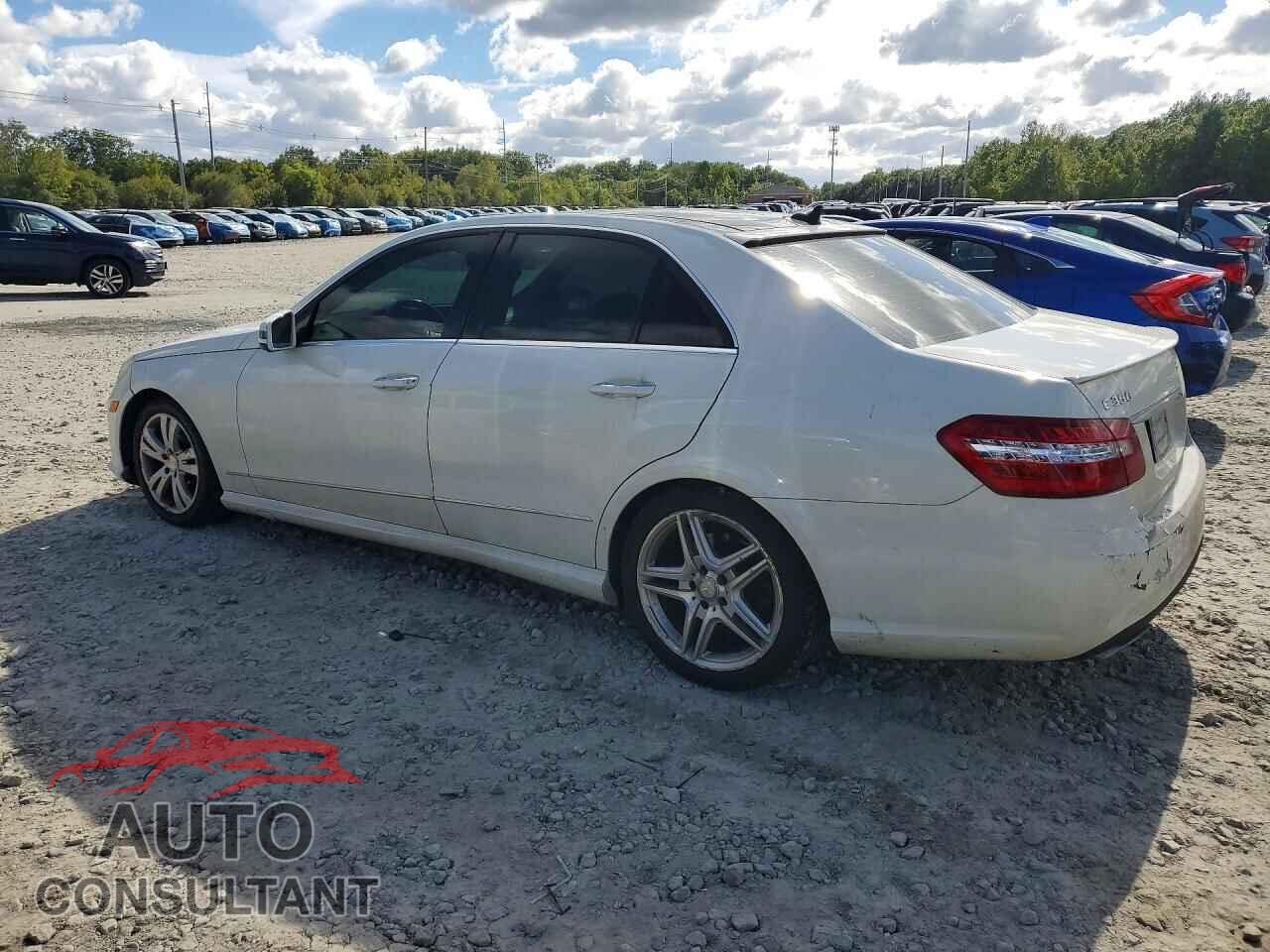 MERCEDES-BENZ E-CLASS 2010 - WDDHF8HB1AA170956