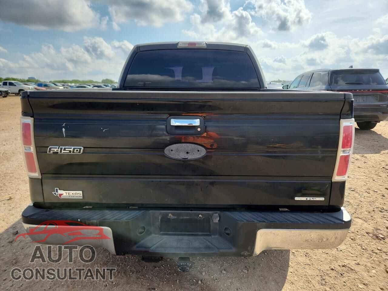 FORD F150 2011 - 1FTFW1CF2BFA51210