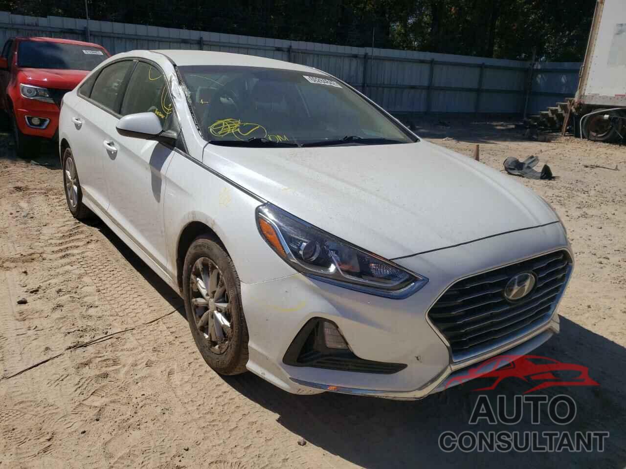 HYUNDAI SONATA 2019 - 5NPE24AF5KH771621