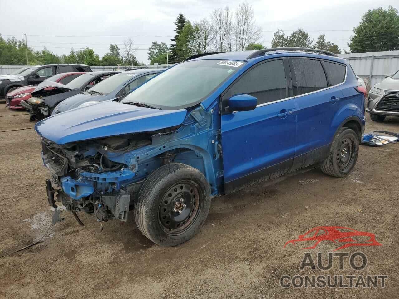 FORD ESCAPE 2019 - 1FMCU0HD0KUC14681