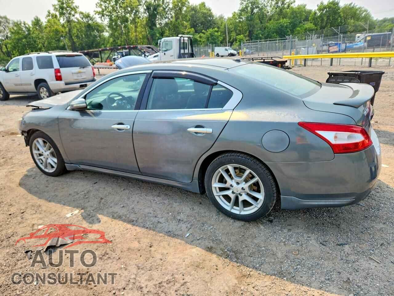 NISSAN MAXIMA 2010 - 1N4AA5AP1AC874891
