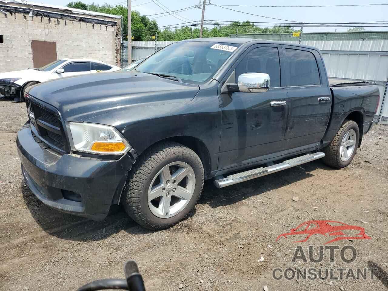 DODGE All Models 2011 - 1D7RV1CT7BS516986