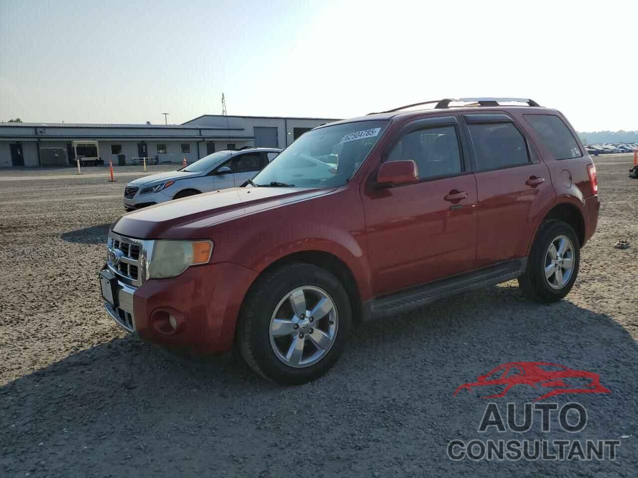 FORD ESCAPE 2010 - 1FMCU9EG2AKC81490