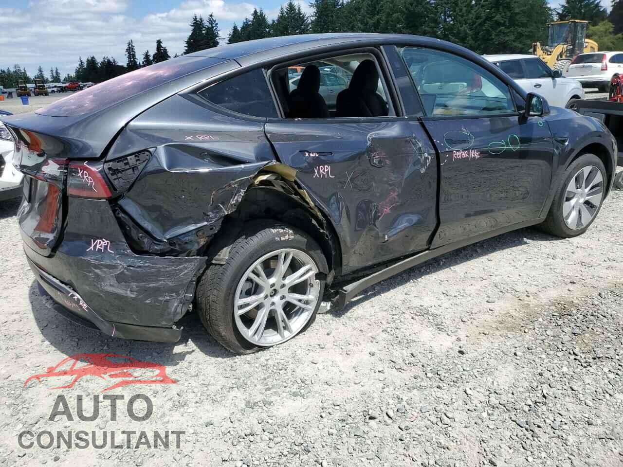 TESLA MODEL Y 2024 - 7SAYGDED1RF053003