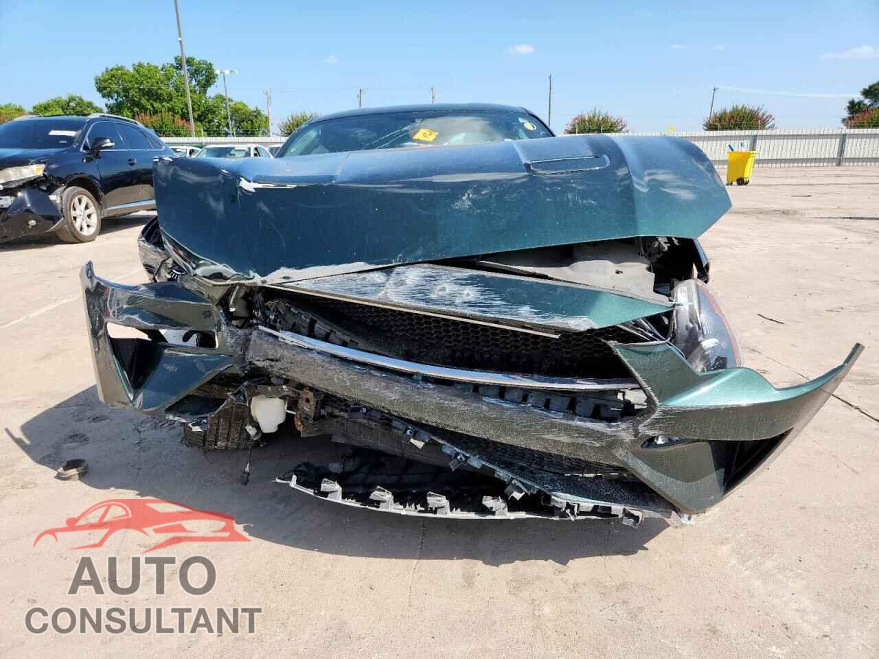 FORD MUSTANG 2019 - 1FA6P8K02K5502134
