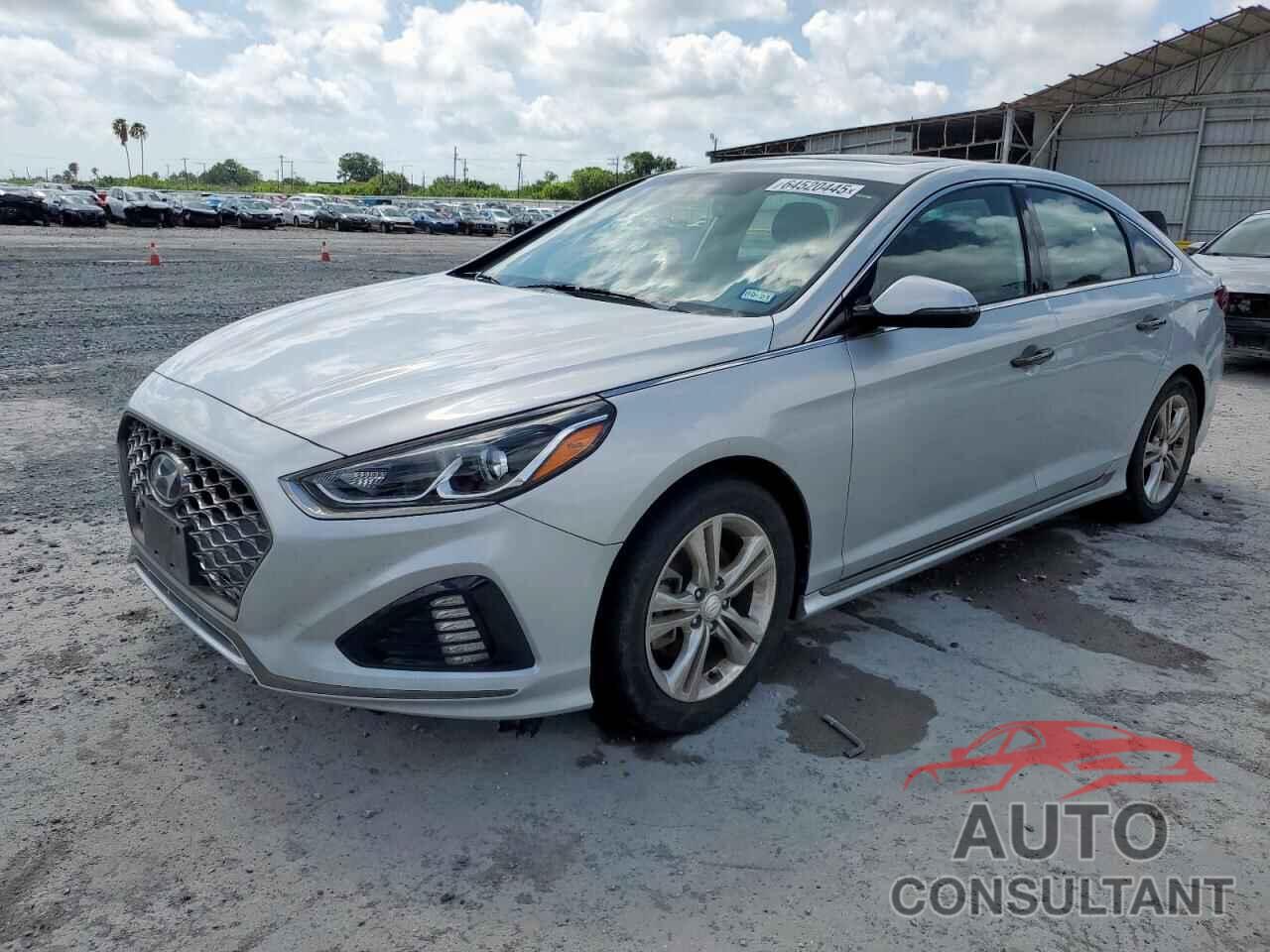 HYUNDAI SONATA 2019 - 5NPE34AFXKH818316