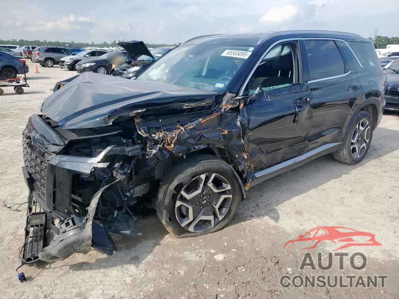 HYUNDAI PALISADE 2024 - KM8R44GE9RU808529