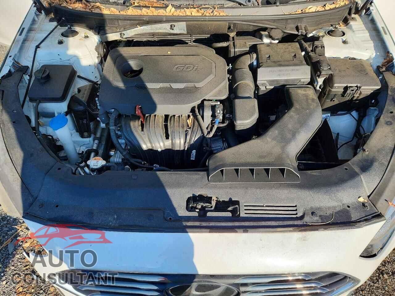 HYUNDAI SONATA 2019 - 5NPE24AF7KH732660