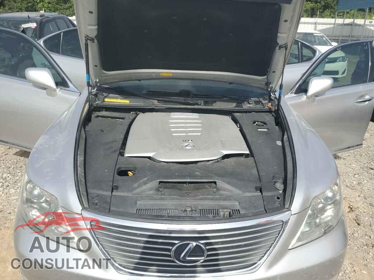 LEXUS LS460 2009 - JTHBL46FX95089741