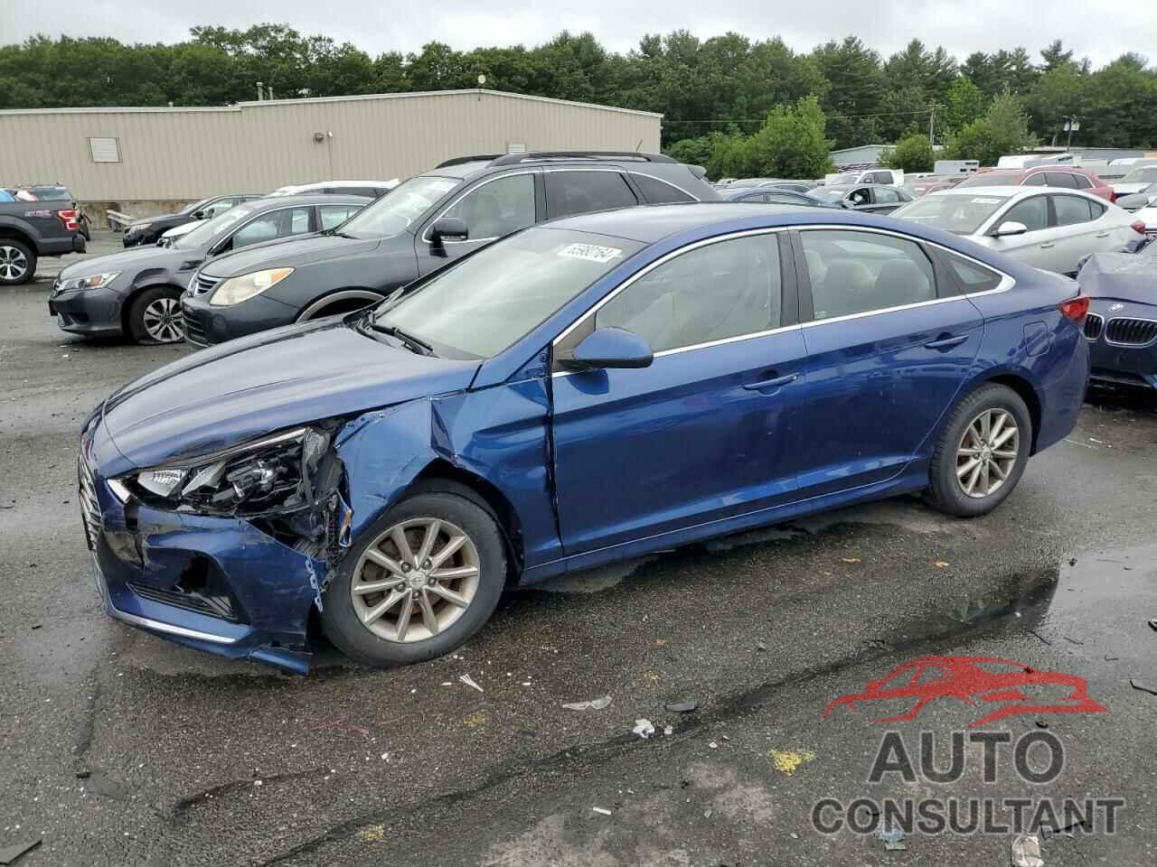 HYUNDAI SONATA 2019 - 5NPE24AF1KH733352