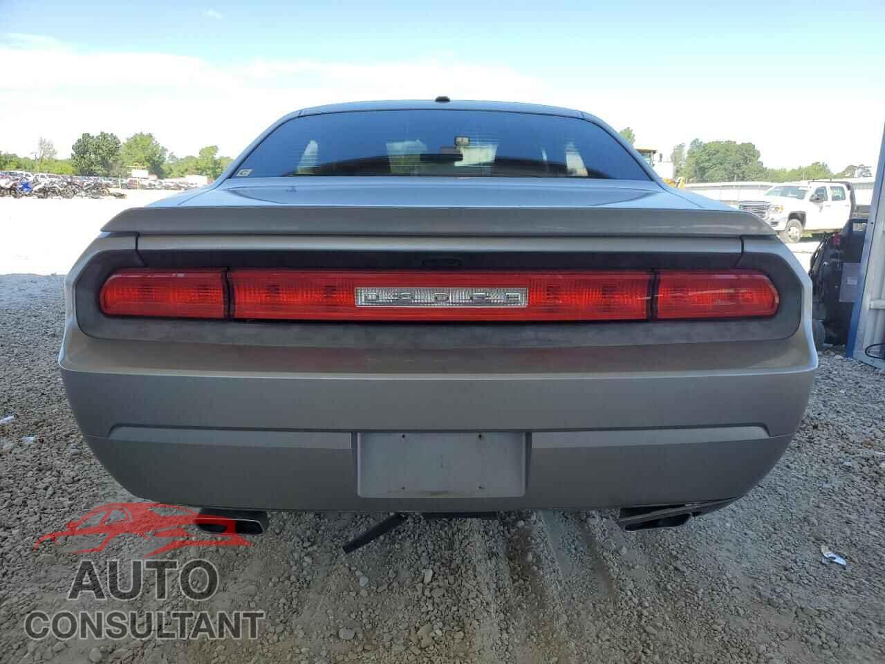 DODGE CHALLENGER 2014 - 2C3CDYBT3EH216830