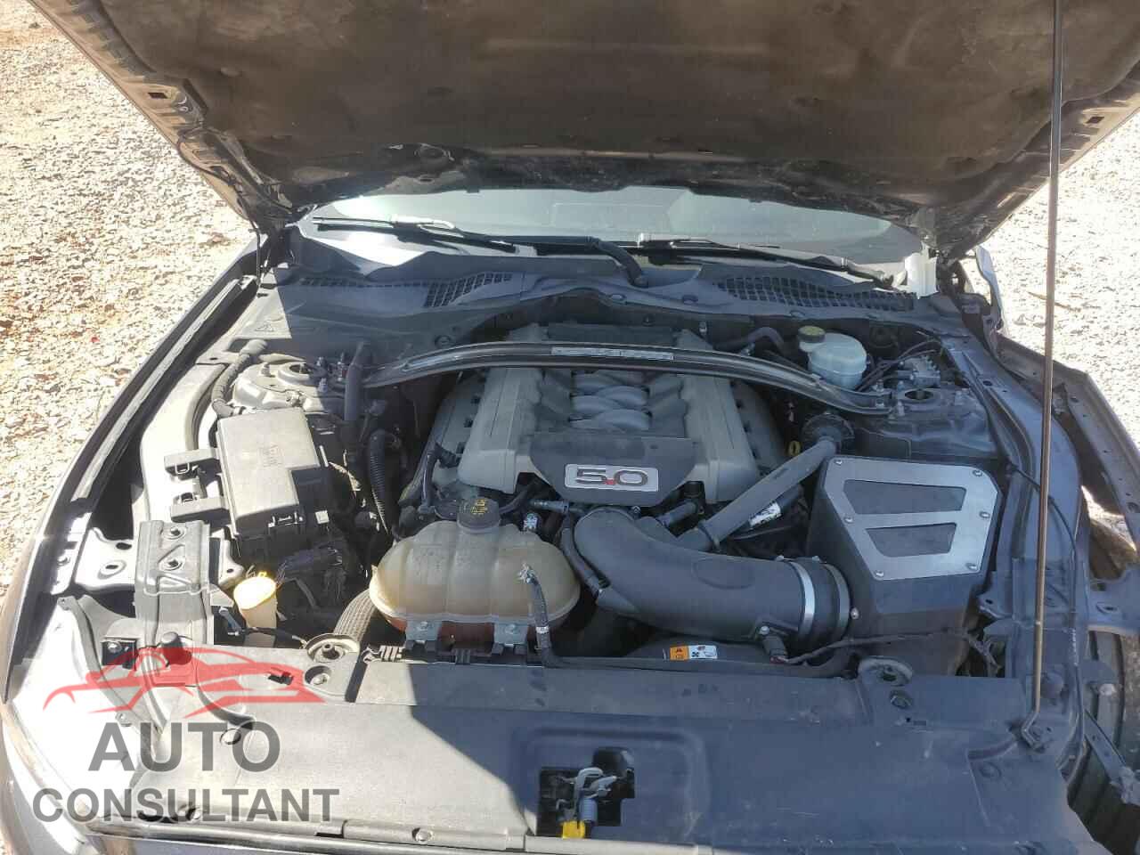FORD MUSTANG 2015 - 1FA6P8CF7F5425351