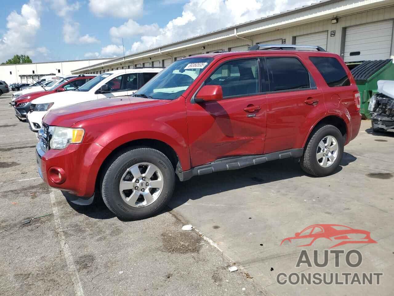 FORD ESCAPE 2011 - 1FMCU0EG5BKA34655