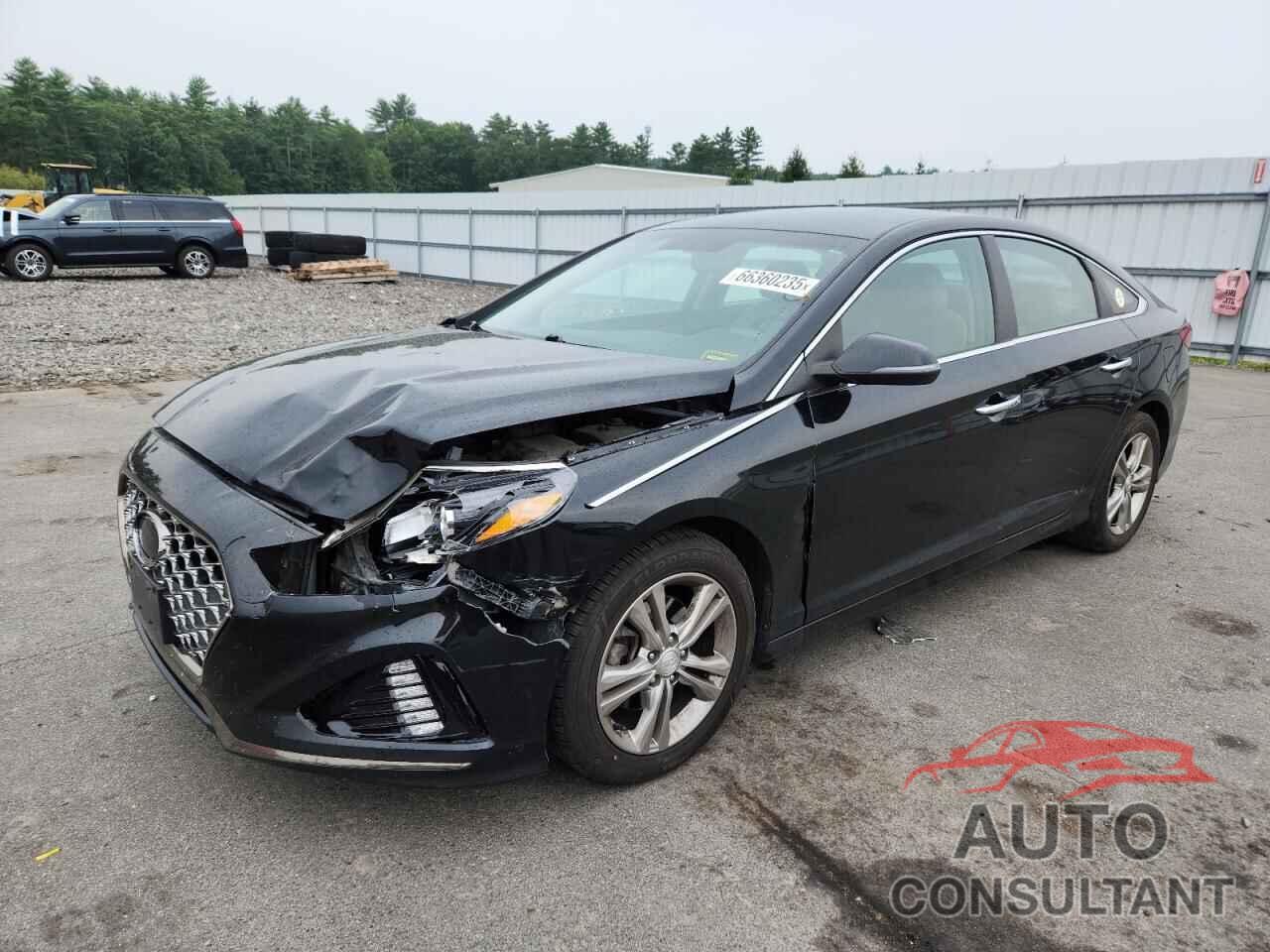 HYUNDAI SONATA 2019 - 5NPE34AF8KH795344
