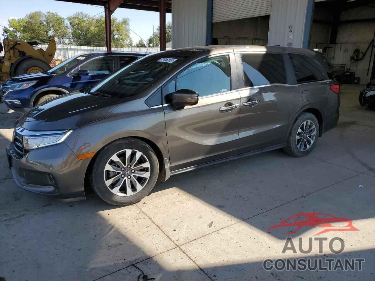 HONDA All Models 2022 - 5FNRL6H76NB008311