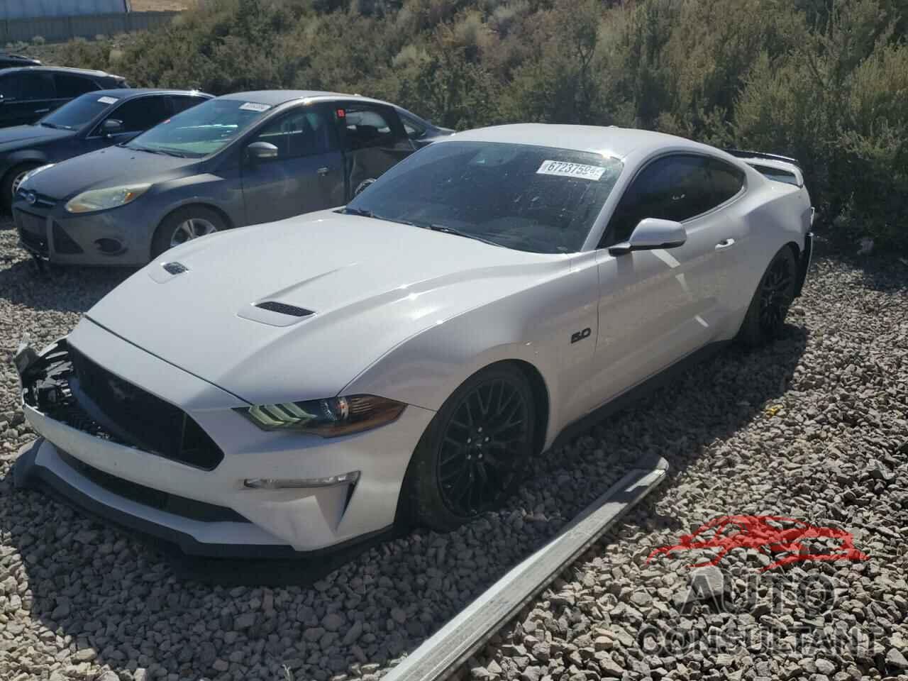 FORD MUSTANG 2019 - 1FA6P8CF7K5182831