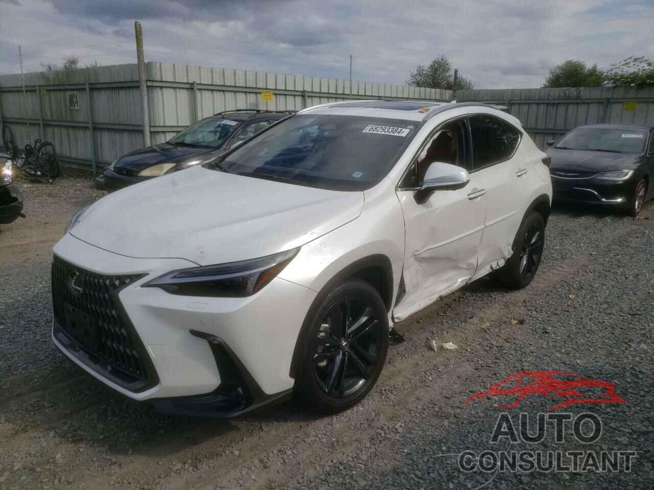 LEXUS NX 450H LU 2024 - JTJHKCFZ6R2031126