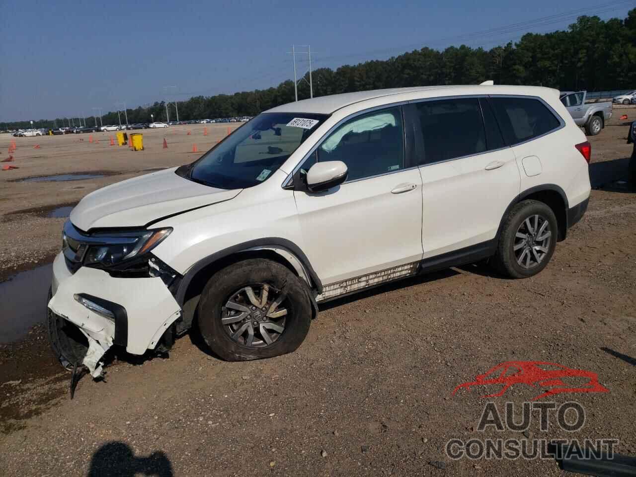 HONDA PILOT 2019 - 5FNYF5H31KB029119