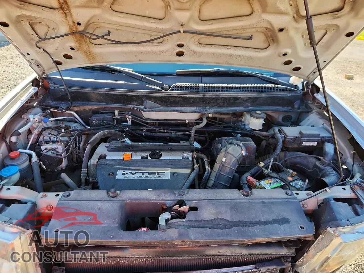 HONDA ELEMENT 2010 - 5J6YH2H78AL007944