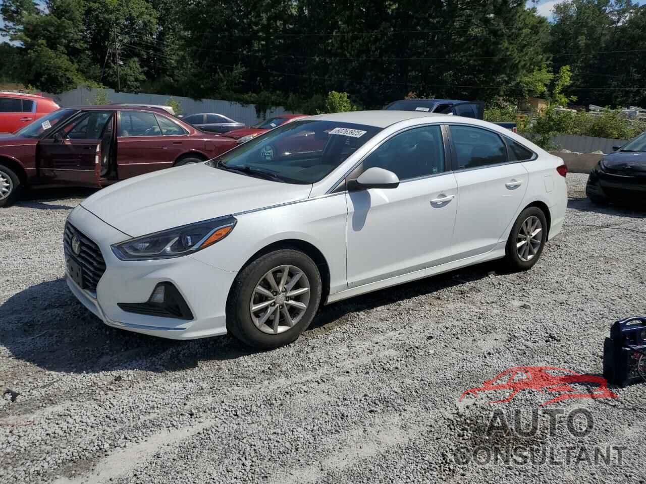HYUNDAI SONATA 2019 - 5NPE24AF4KH800218