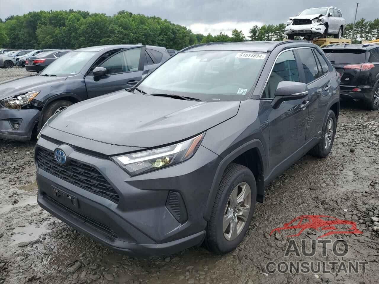 TOYOTA RAV4 2024 - 2T3RWRFV6RW205442