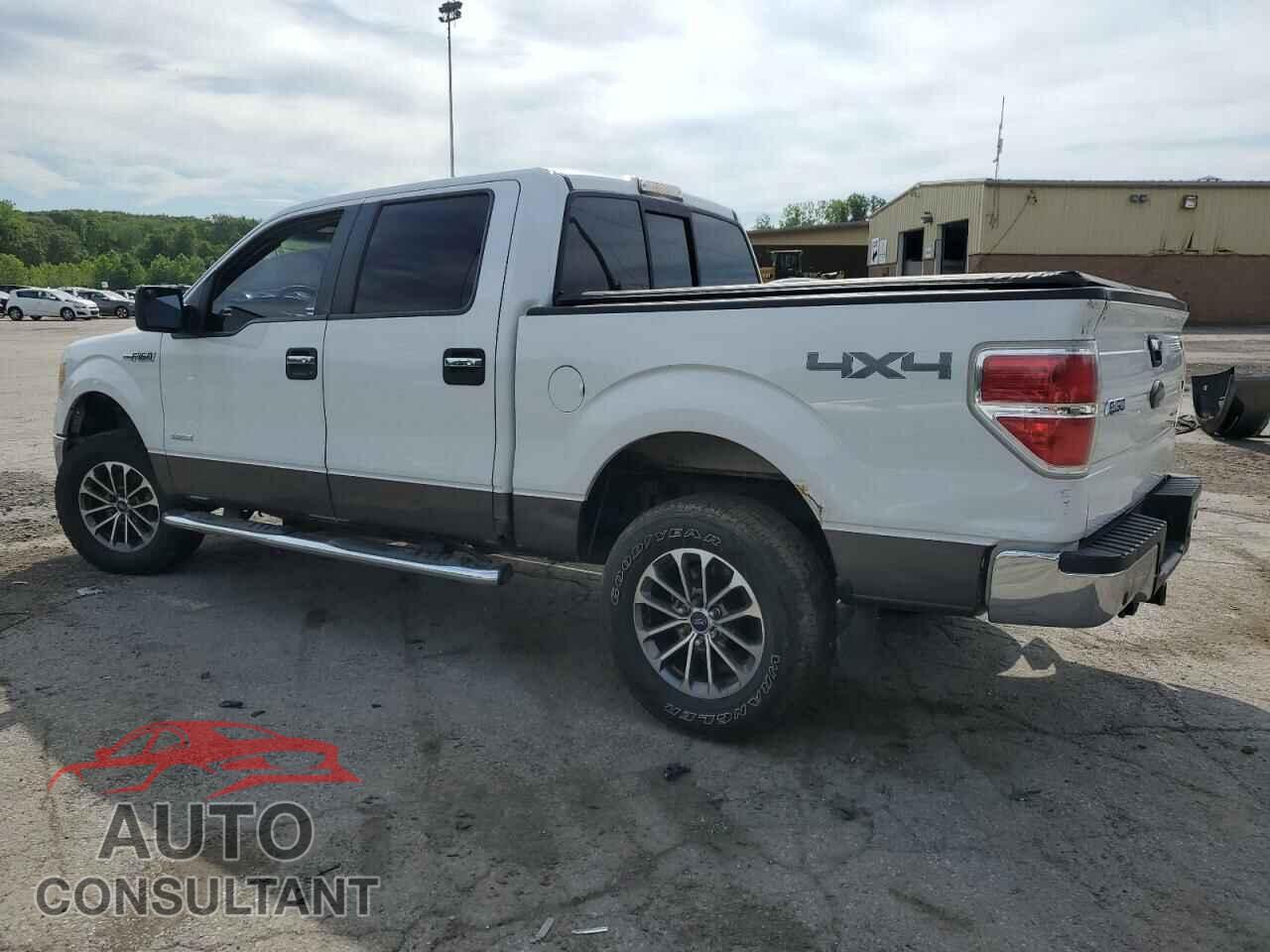 FORD F-150 2011 - 1FTFW1ET9BFD05529