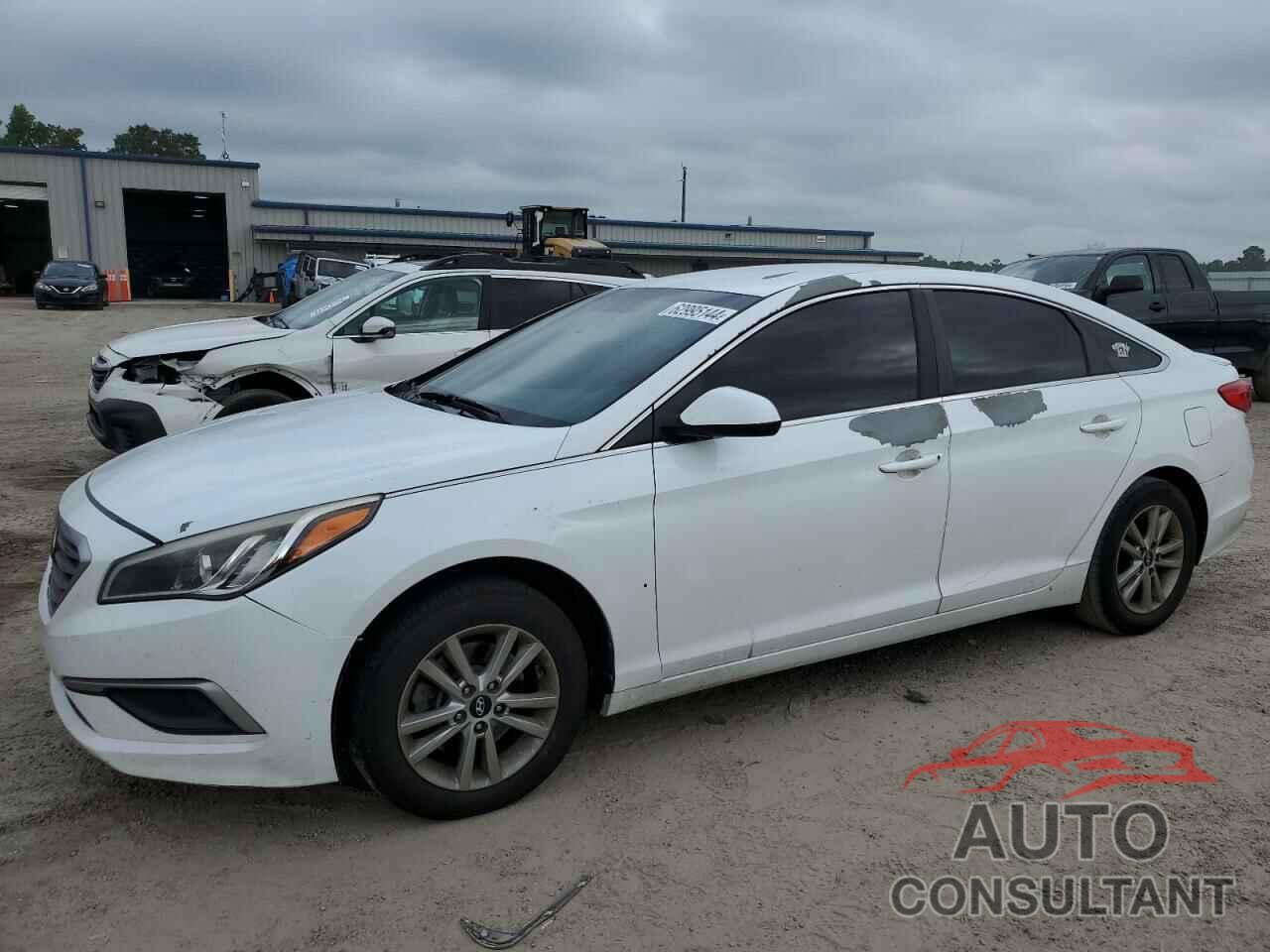 HYUNDAI SONATA 2017 - 5NPE24AFXHH489211