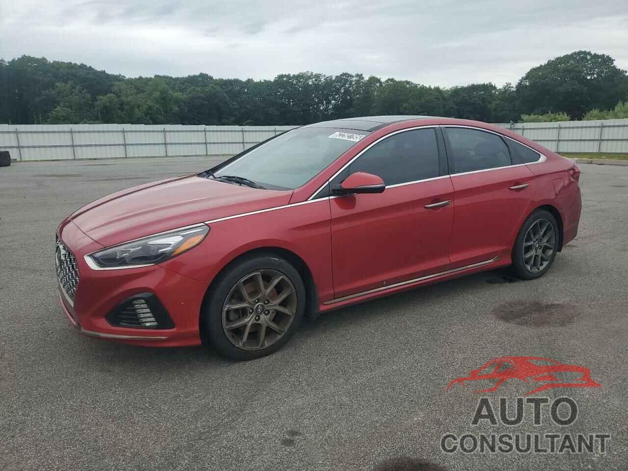 HYUNDAI SONATA 2019 - 5NPE34AB3KH804996