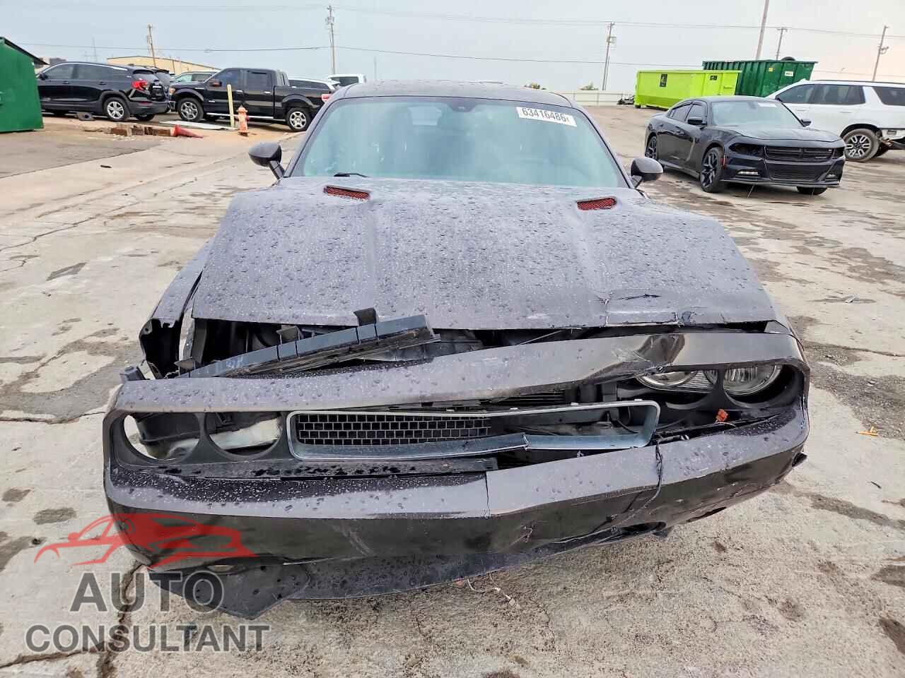 DODGE CHALLENGER 2013 - 2C3CDYAG9DH665979