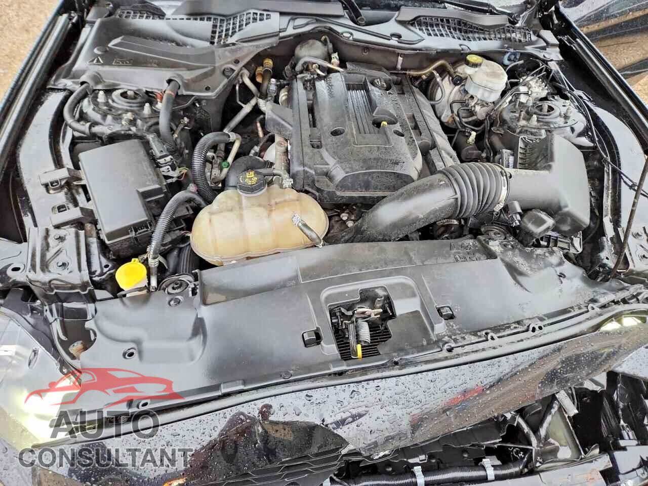 FORD MUSTANG 2018 - 1FA6P8TH8J5159185